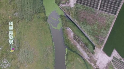 多處湖泊優養化 家庭廢水、過度施肥是元凶