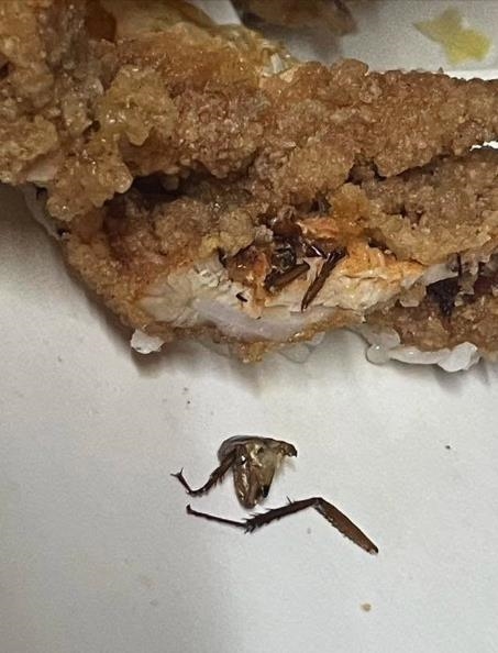 嗑雞排便當「內餡包蟑螂」超恐畫面曝!咬一口「殘肢嵌進肉」業者反應扯爆
