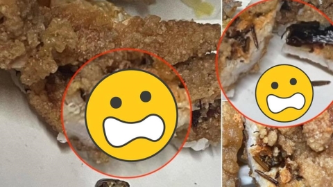 嗑雞排便當「內餡包蟑螂」超恐畫面曝!咬一口「殘肢嵌進肉」業者反應扯爆