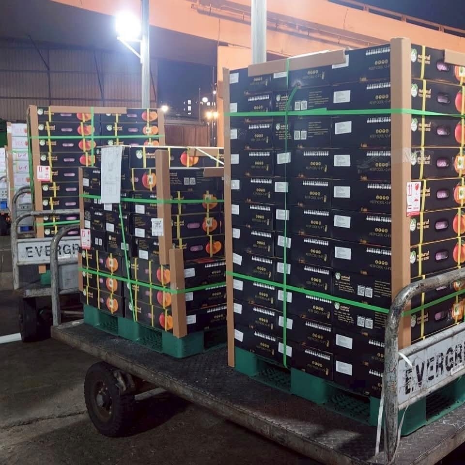 法國百貨「驚見台灣芒果」遭瘋搶!「1公斤2200元」她揭1群人狂買:價格不是問題
