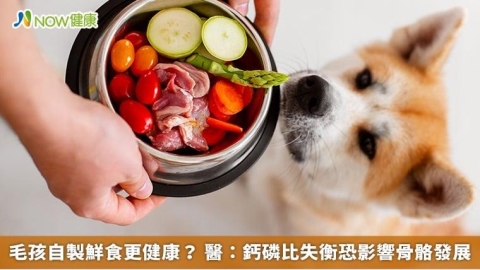 毛孩自製鮮食更健康? 醫:鈣磷比失衡恐影響骨骼發展