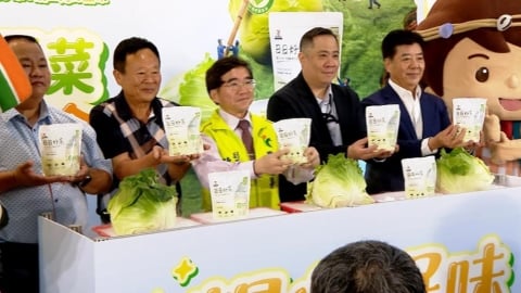 高麗菜量多過剩價跌 農糧署推「冷凍包」提升價值