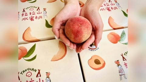 拉拉山水蜜桃滯銷「8顆150元」急售?桃園農業局:勿信假消息