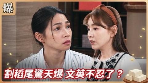 《豆腐媽媽-EP130精彩片段》割稻尾驚天爆 文英不忍了?