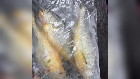 恐怖!中國進口「這食品」竟含禁藥 食藥署證實:邊境攔截逾6千公斤