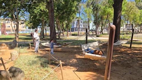 全國最多座吊床! 台中后里森林公園"搖籃遊戲場"啟用