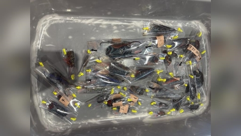 夾藏248隻甲蟲闖關小三通 X光機現形金門海巡員逮人