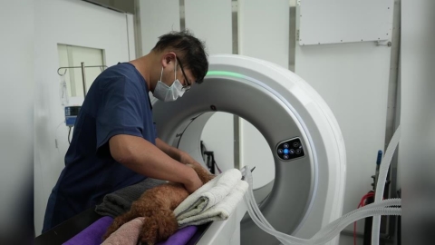 搶賺高齡毛孩防癌財!康科特旗下康悅攜手寵訊生醫 引進「免麻醉抽血」寵物精準醫療