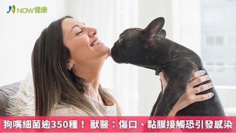 狗嘴細菌逾350種！ 獸醫：傷口、黏膜接觸恐引發感染