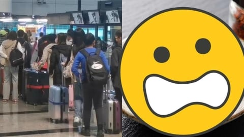 他去日本買「1物」看包裝秒嚇爛！竟含海關嚴禁「2成分」網喊：差點被法辦
