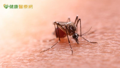 境外移入瘧疾增1例！20多歲男發燒嘔吐復發　赴這些國家要小心