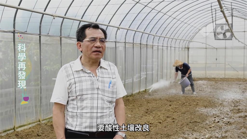 台灣七成土壤成酸性 鹼性石灰肥料成解方
