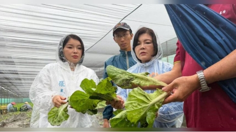 連日豪雨衝擊菜價！雲林葉菜泡水受損　莧菜、空心菜恐率先喊漲