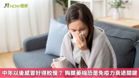 中年以後感冒好得較慢？ 胸腺萎縮恐是免疫力衰退關鍵