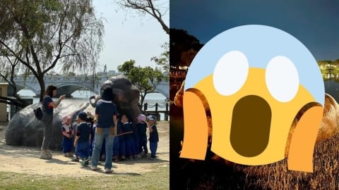 台版「博物館驚魂夜」？奇美河馬雕像半夜「游回湖裡」真相曝光網喊法老顯靈