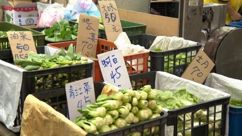 中南部蔬菜產區淹水慘兮兮 損失逾七成菜價漲翻天