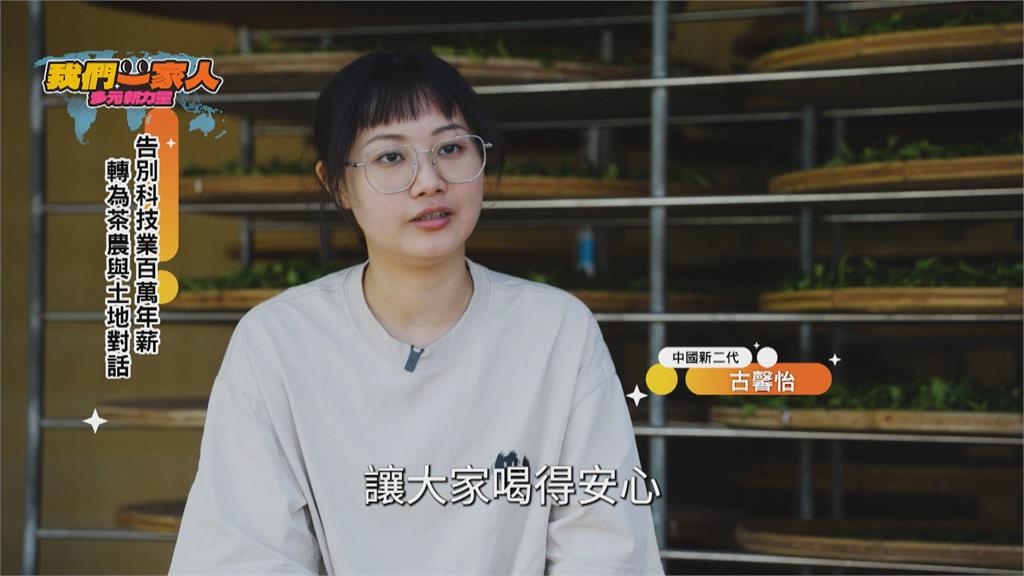 告別科技業百萬年薪 古馨怡轉當茶農與土地對話