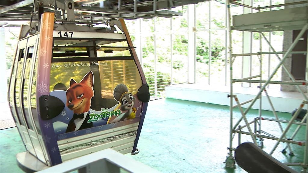 搶攻暑假商機！　貓纜喜迎２０周年　聯名「動物方程式」推限定車廂