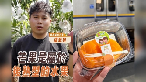 芒果買太多吃不完?農糧署公開「芒果2大保存法」輕鬆延長保存期限