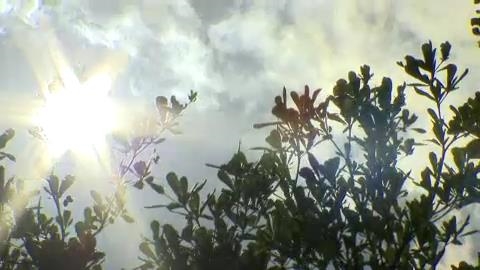 快新聞／今起高溫燒到下週！聖嬰年強颱生成中　專家：影響台灣言之過早