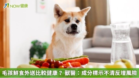 毛孩鮮食外送比較健康? 獸醫:成分標示不清反增風險