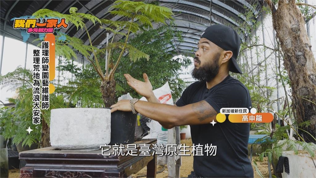 星國護理師變園藝維護師 整理荒地為浪犬安家