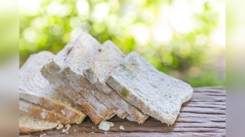 告別發霉黑點點 4個絕招讓妳在雨季也能吃到香酥麵包
