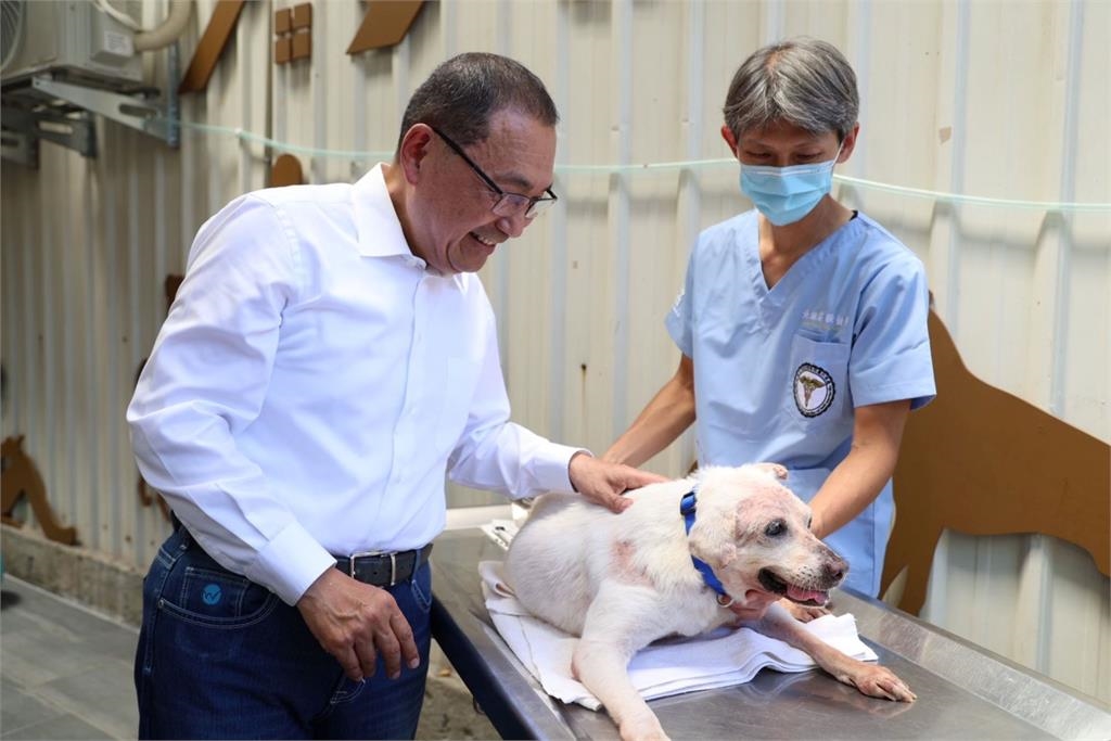 快新聞/領養代替購買!新北中和動物之家轉型全國首座長照園區 推醫療照護優惠