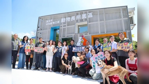領養代替購買!新北中和動物之家轉型全國首座長照園區 推醫療照護優惠