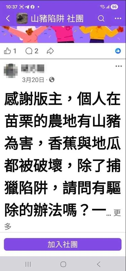 農民果園遭山豬肆虐,不得不找使用非法山豬吊的獵人「除害」。(圖/翻攝臉書)
