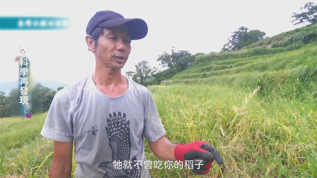 友善耕作豐富生態系 朝「永續共生之道」邁進