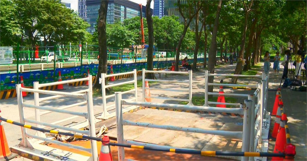 砍樹換"菇"? 蔣萬安稱為道路拓寬 洪婉臻秀公文打臉