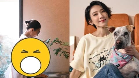 消失螢光幕多年！48歲戴佩妮露面「挺驚人孕肚」粉絲急喊恭喜真相曝光