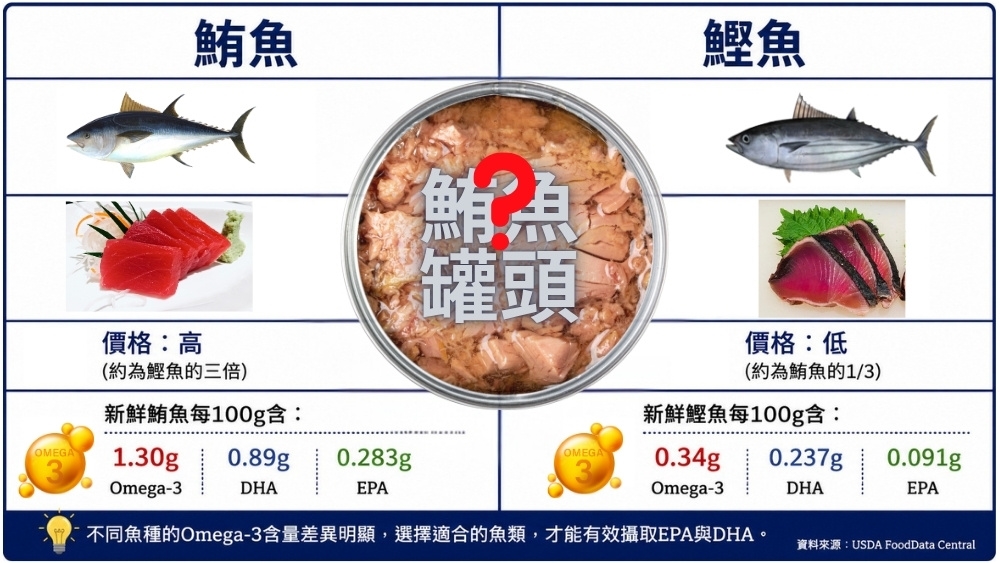 吃魚就夠了嗎?研究揭開 Omega-3 攝取迷思:鮪魚罐頭不等於攝取充足