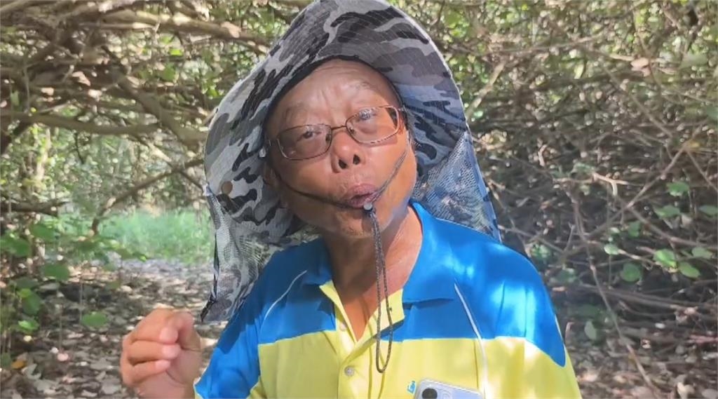小燕鷗繁殖危機! 通霄沙灘野狗襲擾 人為干擾產蛋