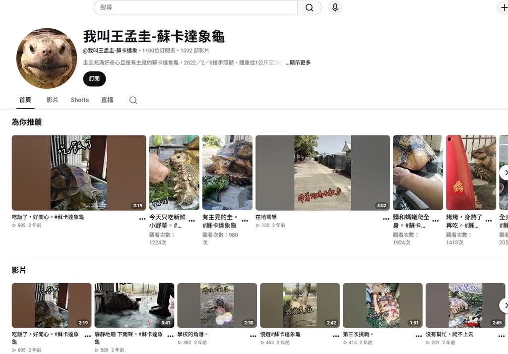 快新聞／地表最強阿嬤「神操作」！極速接駁慢吞吞象龜 萬人嘴角失守