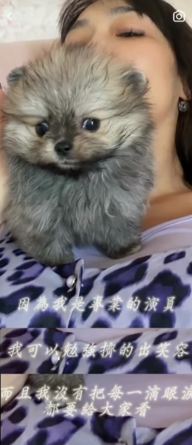 愛犬不幸夭折！告別式照片遭網轟「太假」　李宓反擊：大哭拍上網才算愛？