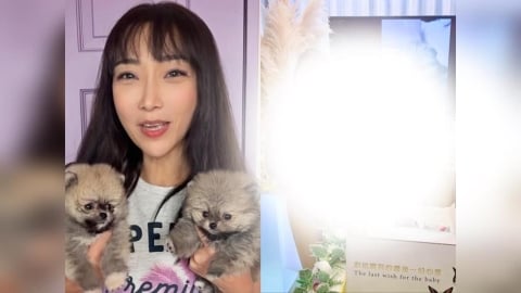 愛犬不幸夭折！告別式照片遭網轟「太假」　李宓反擊：大哭拍上網才算愛？