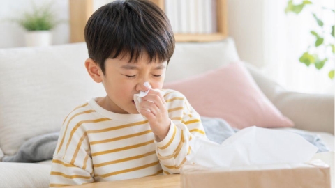 兒童鼻子過敏怎麼辦?營養師教4招防護與益生菌6大挑選原則