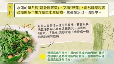 日本人來台一吃「細長的菜」就驚豔! 網讚:為國爭光