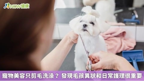 寵物美容只剪毛洗澡? 發現毛孩異狀和日常護理很重要