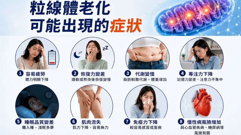 40歲後真的會「斷崖式衰老」?博士解析身體出現的關鍵變化