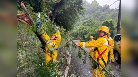 超過15萬戶哀號！巴威颱風侵台「大停電範圍曝」　台電全力搶修中