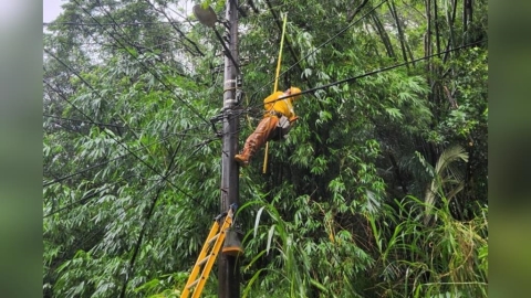 巴威颱風觸陸多處停電　台電台北南區處動員搶修餘143戶未復電