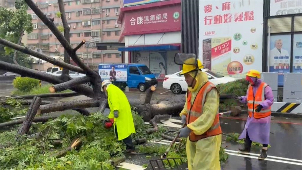 不敵強風樹倒壓民宅 新竹山區累計雨量破500毫米