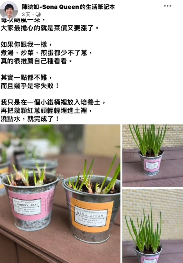 颱風過後菜價飆漲荷包大失血?專家親授「再生術」 剩蔥也能立大功!