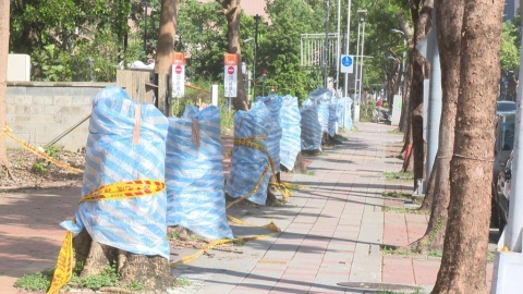 北市狂砍3164棵樹挨轟 網傳為「這件事」市府將提告