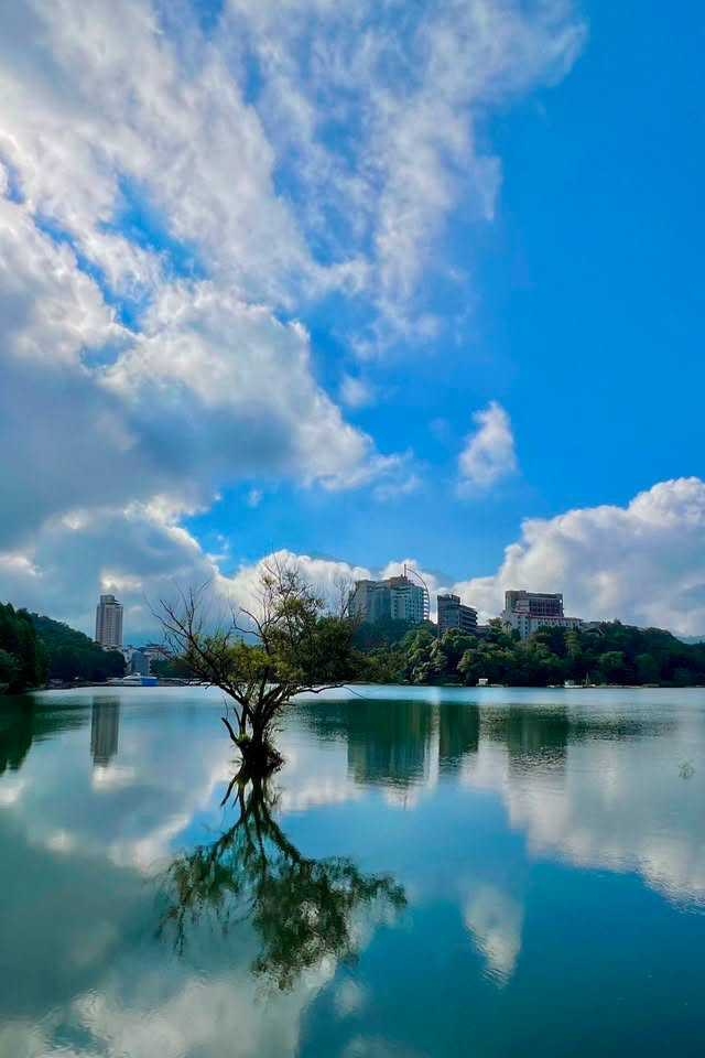 「孤獨樹」水面倒影的美景吸引不少民眾朝聖。(圖/翻攝自臉書/JALife呷生活、鄉民阿正提供)