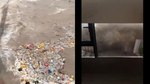 巴威颱風鬼轉「重創浙江」2百萬人大撤離!中國網友怒轟「這國」手握氣象武器:做手腳