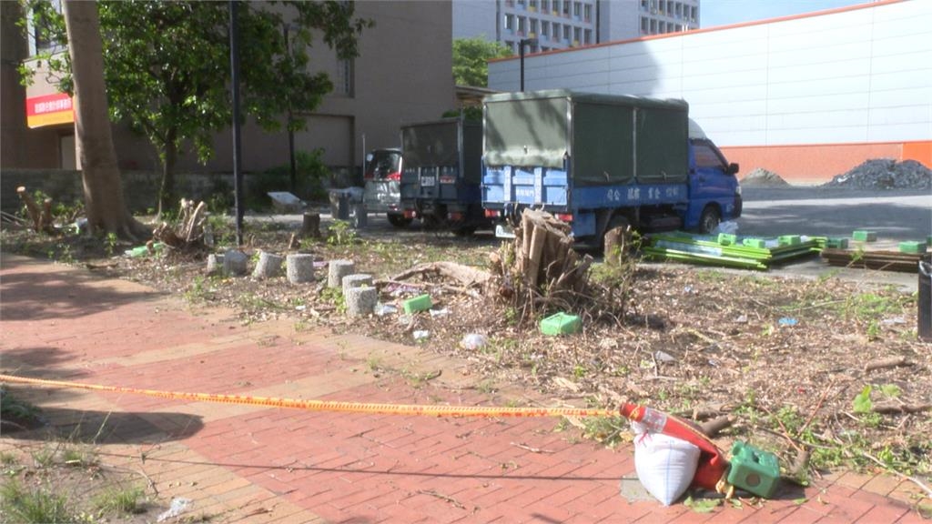 快新聞/台北樹蔭不見了?連俞涵、温貞菱痛心發聲 議員嘆:已成跨黨派議題